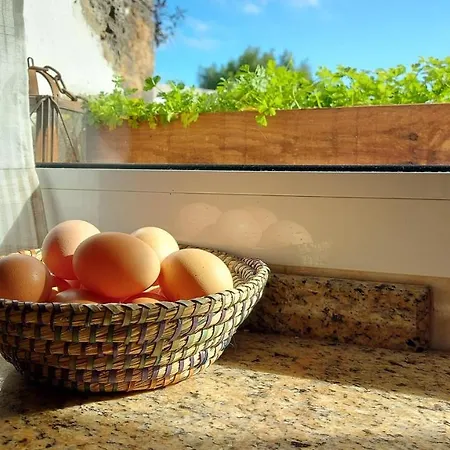 Casa Natura Ainhoa Проживание в семье *