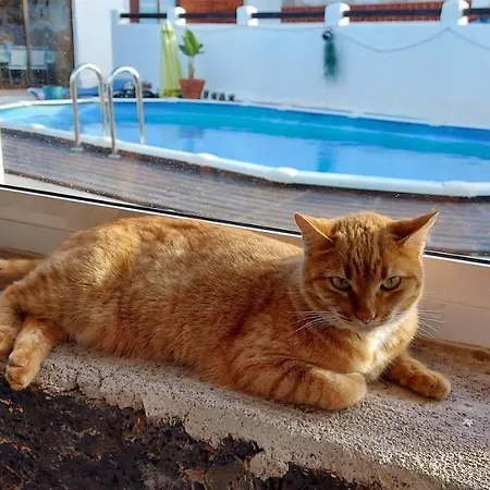 Δωμάτια σε οικογενειακή κατοικία Casa Natura Ainhoa La Oliva